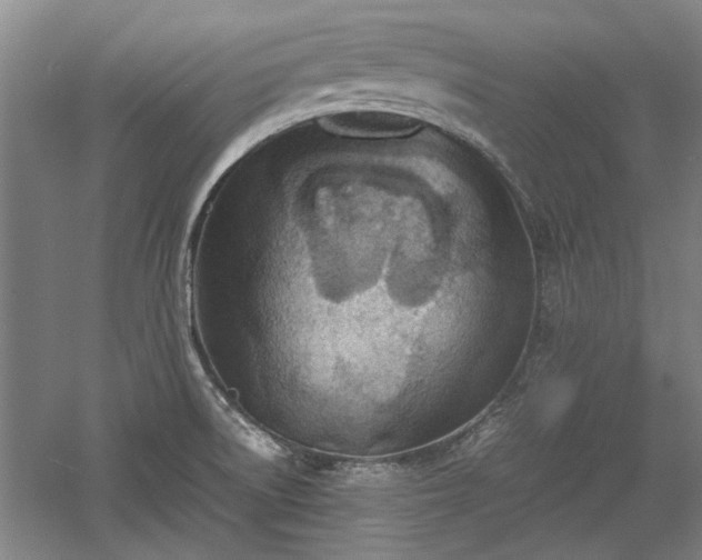 X0000060551522200511101524