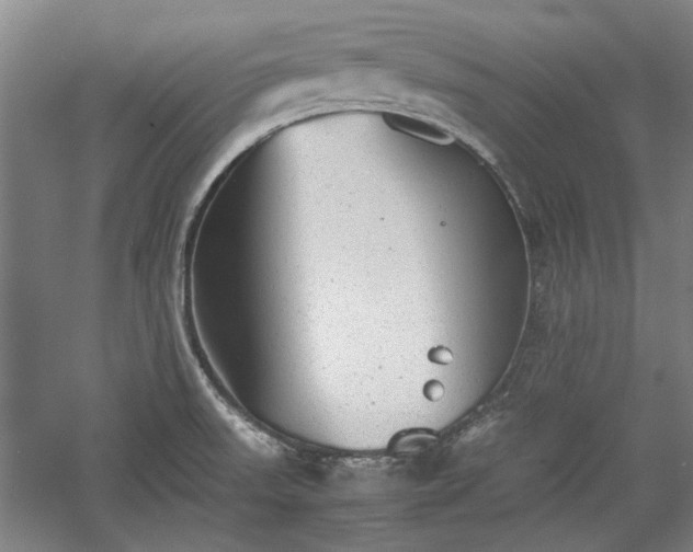 X0000060551523200511101524