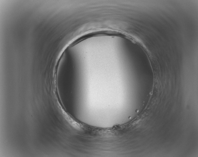 X0000060551524200511101524