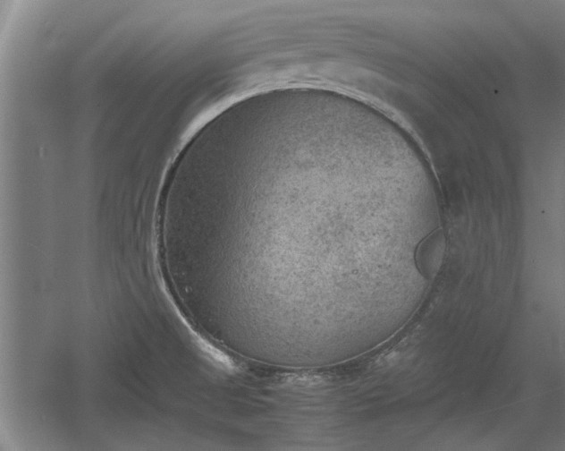 X0000060551525200511101524