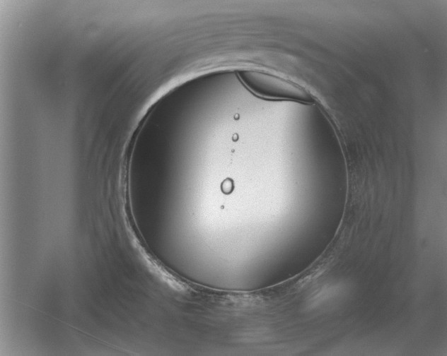 X0000060551526200511101524