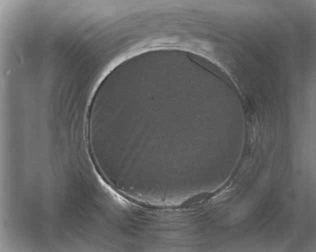 X0000060551527200511101524