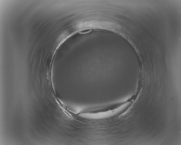 X0000060551529200511101524