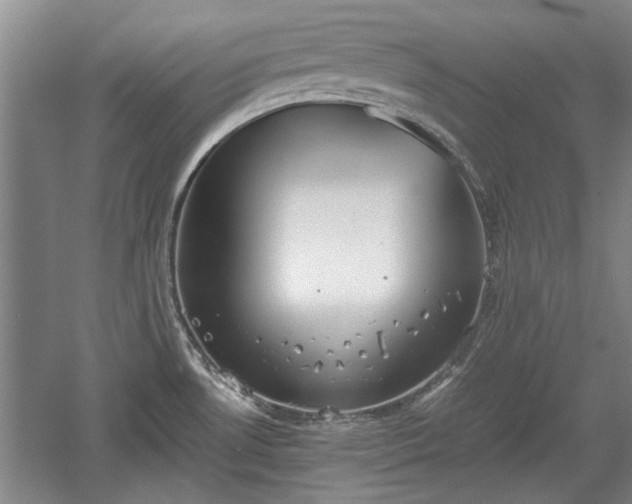 X0000060551530200511101524