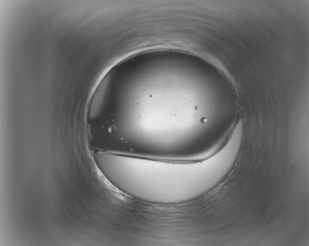 X0000060551532200511101524