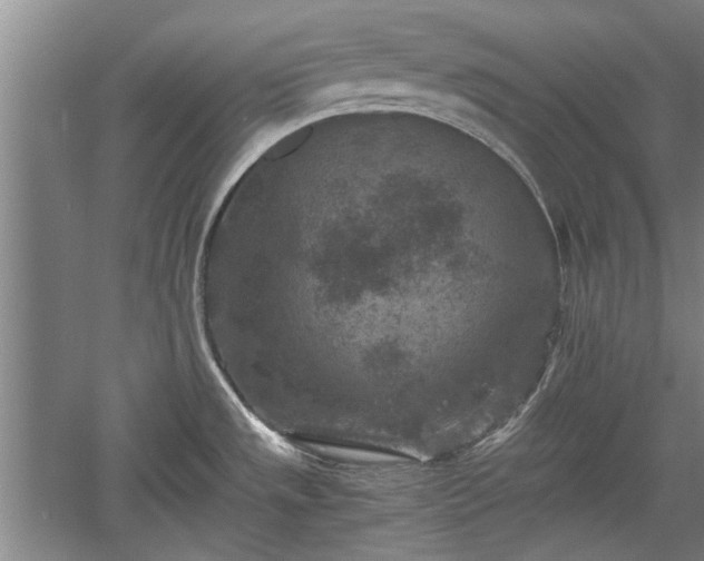 X0000060551533200511101524