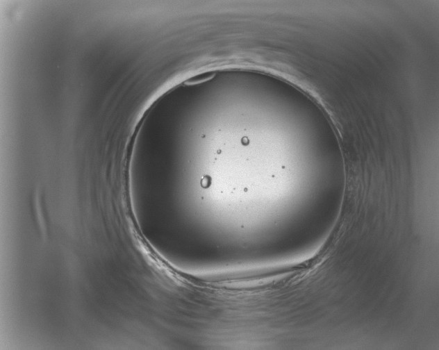 X0000060551534200511101524