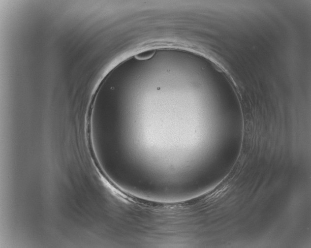 X0000060551535200511101524