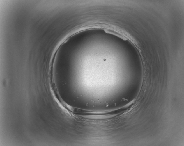 X0000060551536200511101524