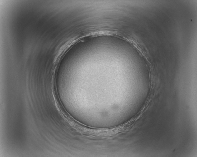 X0000060550001200511171551