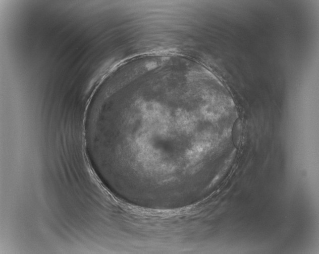 X0000060550002200511171551