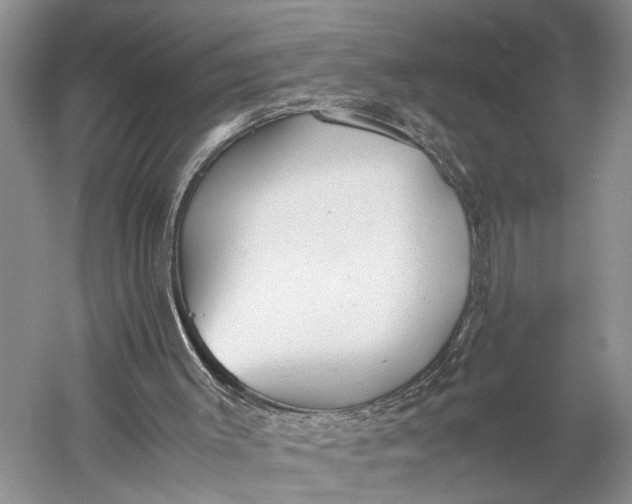 X0000060550003200511171551