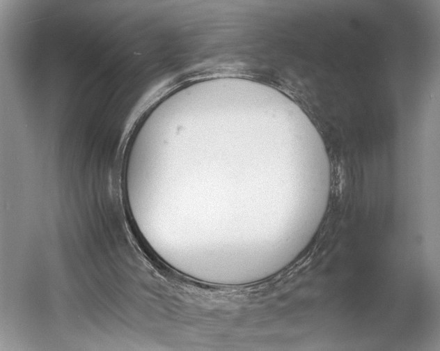 X0000060550004200511171551