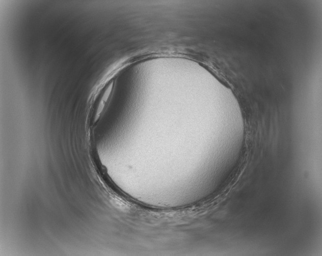 X0000060550005200511171551