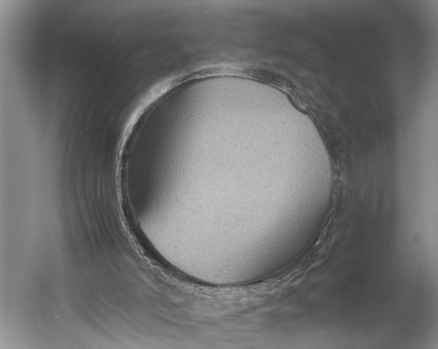 X0000060550006200511171551