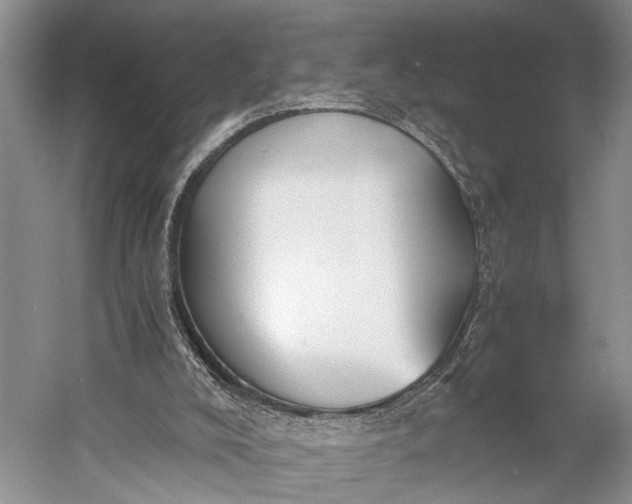 X0000060550008200511171551