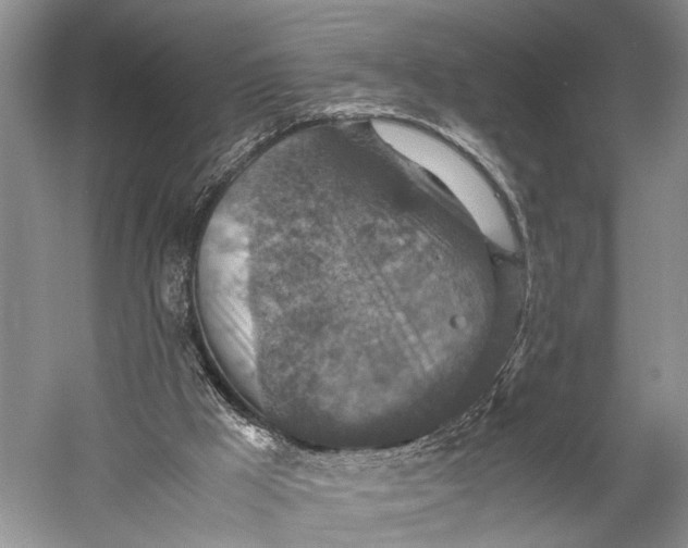 X0000060550009200511171551