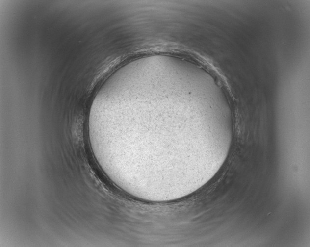 X0000060550010200511171551