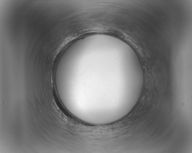 X0000060550011200511171551