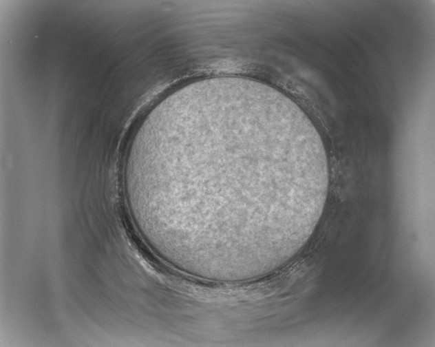 X0000060550012200511171551