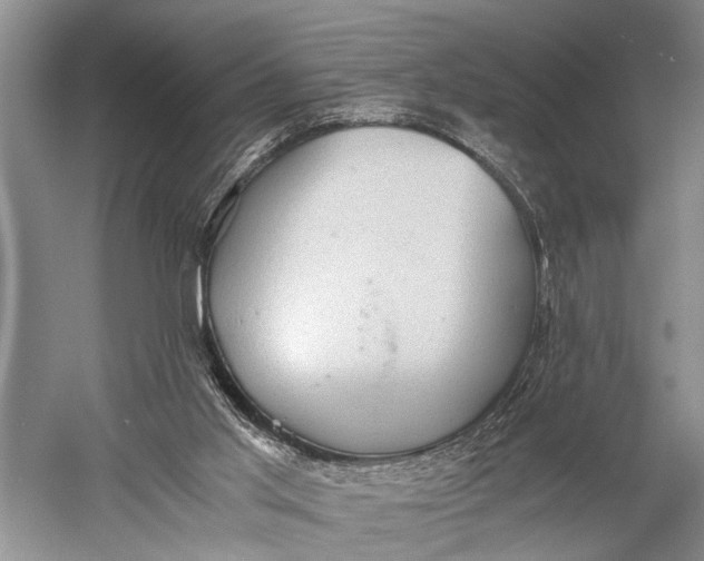 X0000060550013200511171551