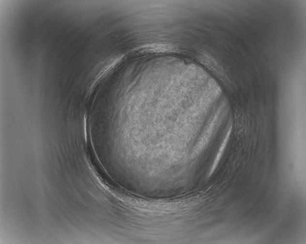 X0000060550014200511171551