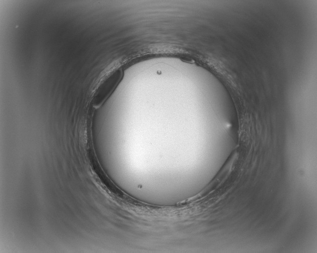 X0000060550015200511171551