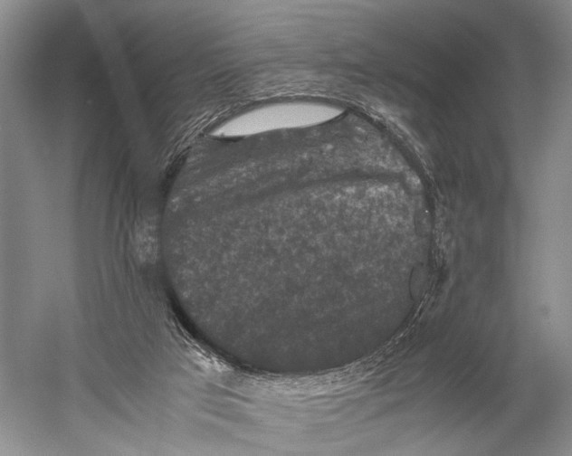 X0000060550017200511171551