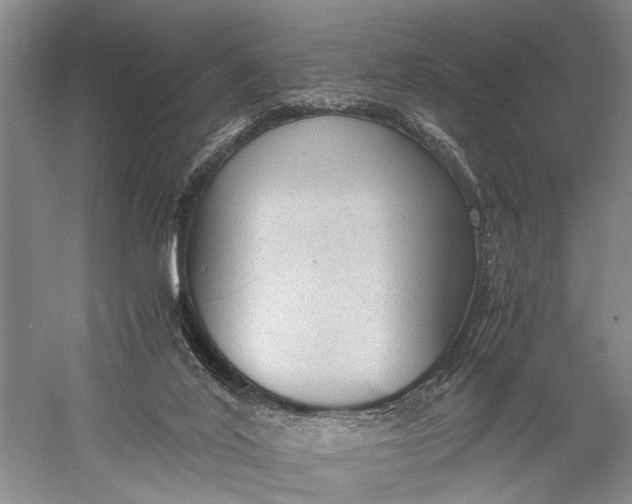 X0000060550020200511171551