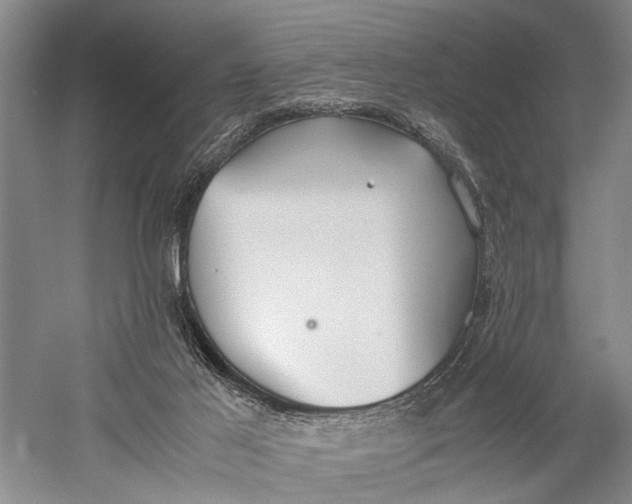 X0000060550021200511171551