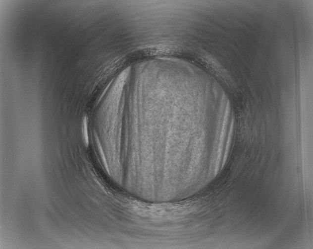 X0000060550022200511171551