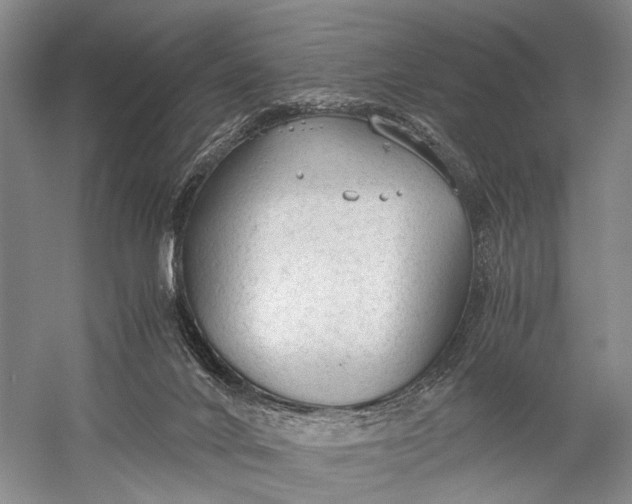 X0000060550024200511171551