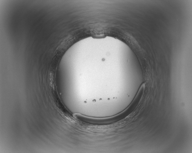 X0000060550025200511171551