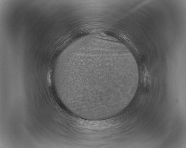 X0000060550026200511171551