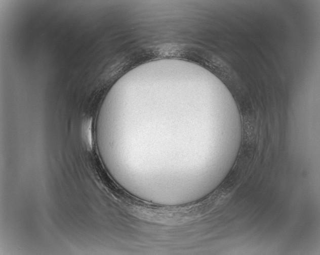 X0000060550028200511171551