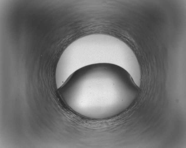 X0000060550029200511171551