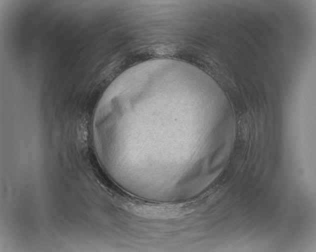 X0000060550032200511171550