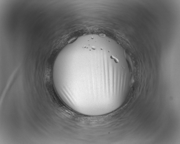 X0000060550033200511171550