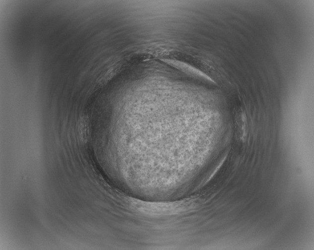 X0000060550034200511171550