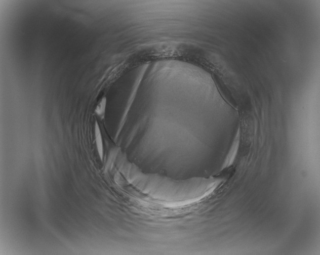 X0000060550035200511171550