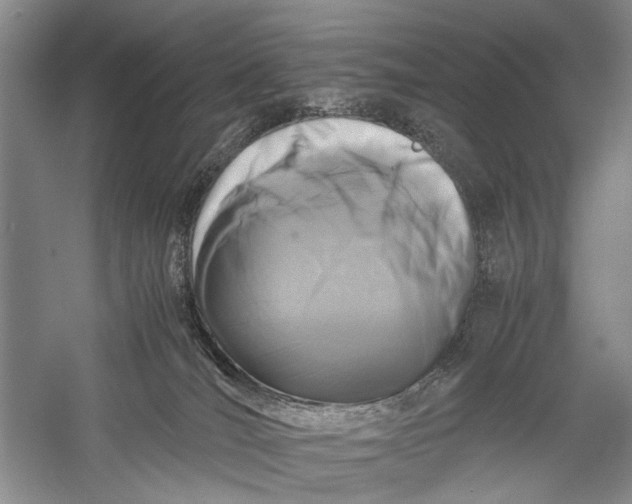 X0000060550036200511171550