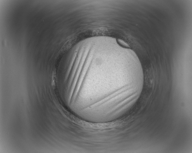 X0000060550038200511171550