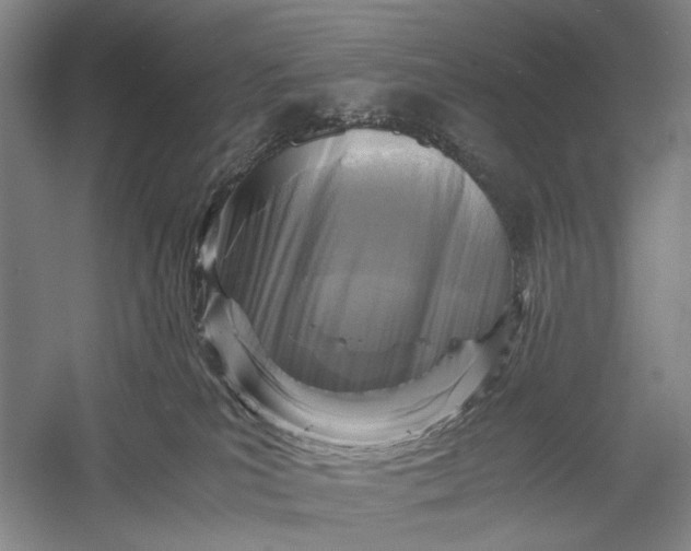 X0000060550039200511171550