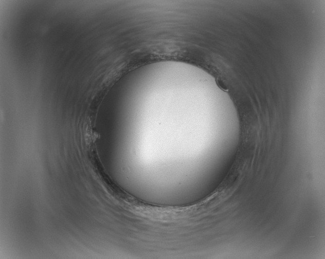 X0000060550040200511171550