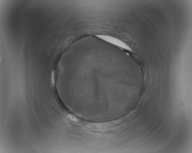 X0000060550041200511171550