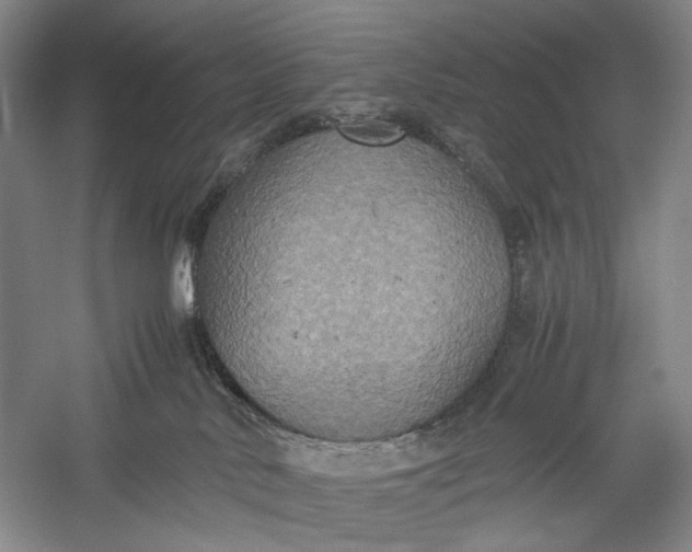 X0000060550042200511171550