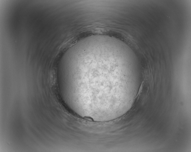 X0000060550043200511171550