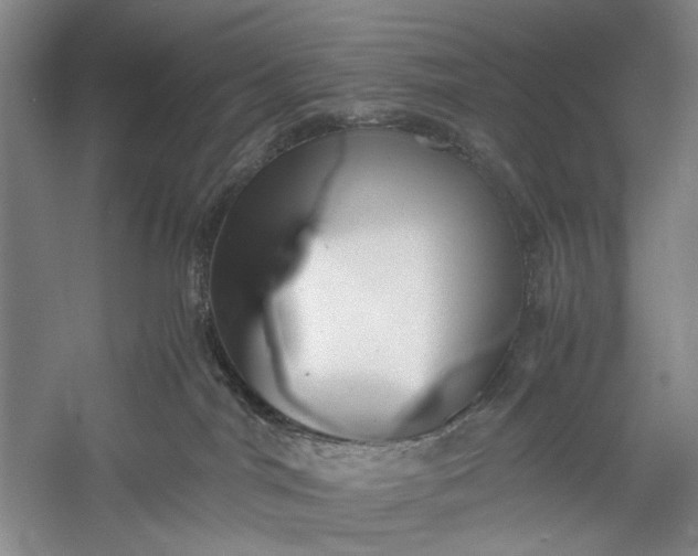 X0000060550044200511171550