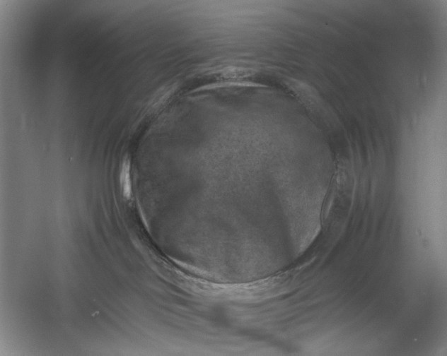 X0000060550046200511171550