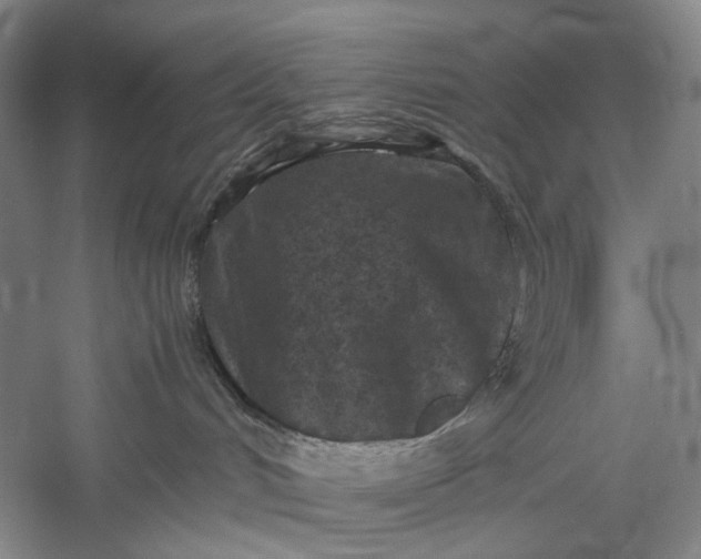 X0000060550048200511171550